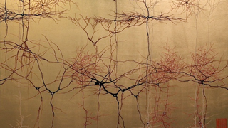 Striking paintings combine Japanese watercolor with the structures of the brain